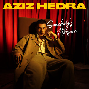 Aziz Hedra - Somebody's Pleasure