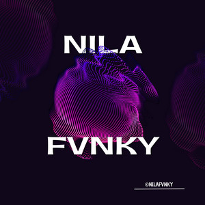Nila Fvnky - DJ MALAM PAGI X HAMIL DULUAN